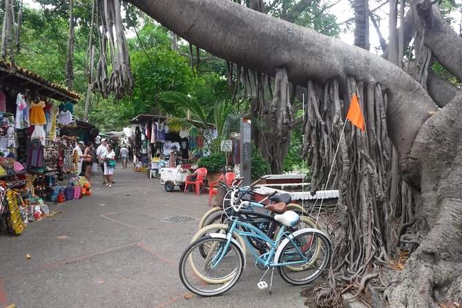 Private Tour in El Malecon Boardwalk Bike Ride - Customer Feedback