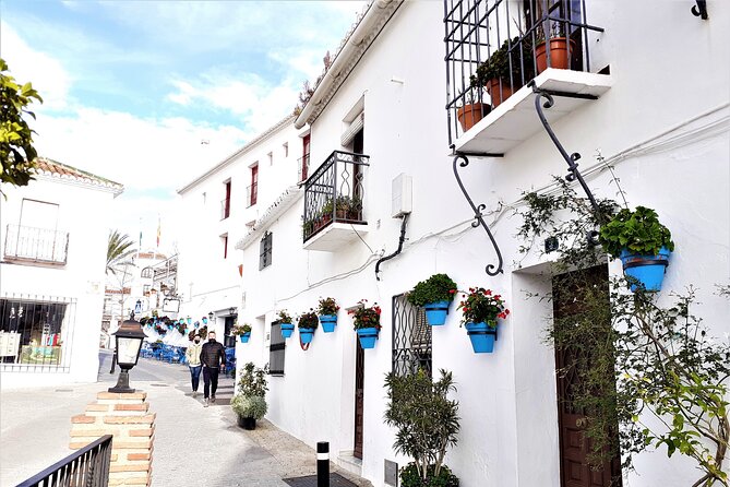 Private Tour in Gibraltar & Mijas From Marbella and Estepona - Tour Conditions