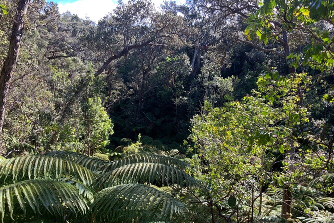 Private Tour in Hilo & Kona - Highlights of Hilo