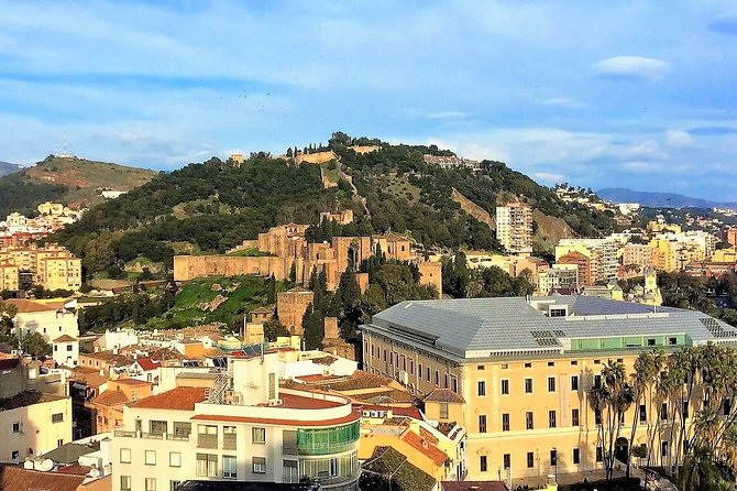 Private Tour in Malaga From Costa Del Sol - Traveler Reviews and Experiences