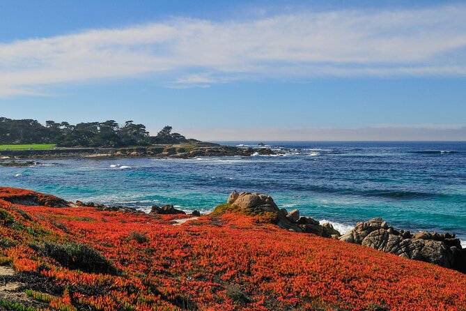 Private Tour in Monterey and Big Sur Review - Final Verdict On This Stay