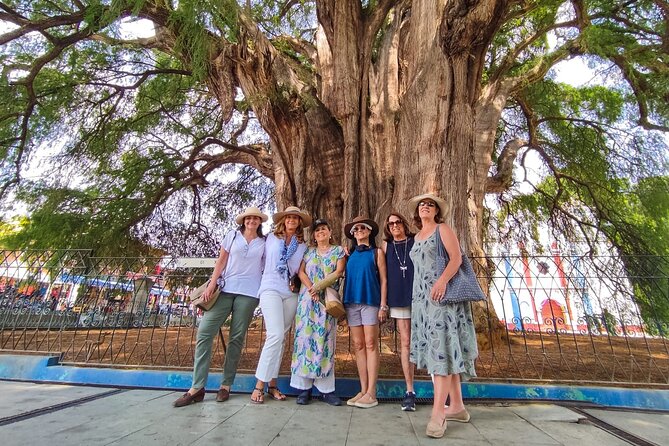 Private Tour in Oaxaca to Tule, Mezcal, Textiles, Mitla Totally Personalized - Reviews and Feedback