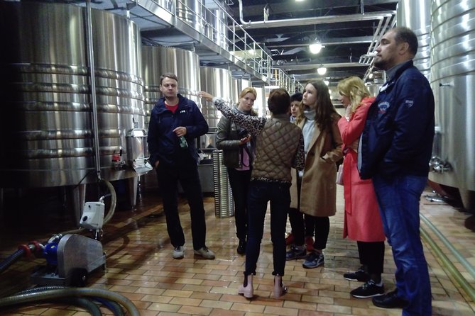 Private Tour in Saint-Emilion, Medieval Village and Wine Tasting - Accessibility and Mobility
