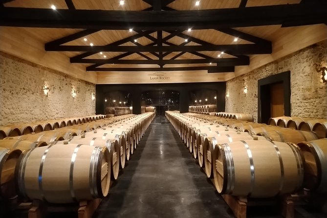 Private Tour in the Prestigious Médoc Wine Region - Immersive Private Tour Experience