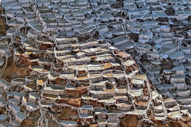 Private Tour: Maras Moray Visit and Peruvian Paso Horseback Riding - Paso Horseback Riding