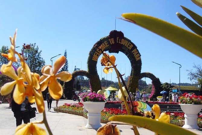 Private Tour Nha Trang - Dalat Excursion (Starting at Nha Trang) - Pickup Information