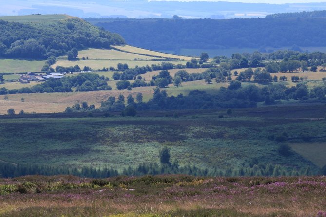 Private Tour: North Yorkshire Moor and Whitby From York in 16 Seater Minibus - The North Yorkshire Moor