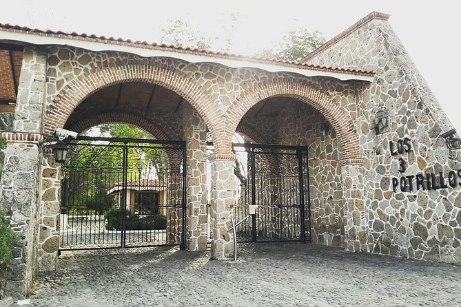 Private Tour of Chapala and Its Charms. - Accessibility