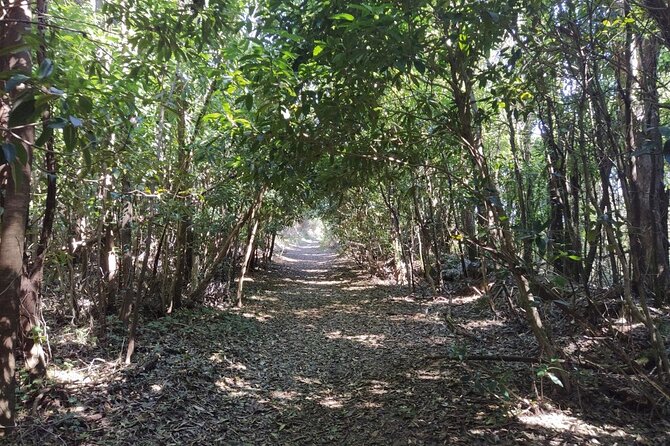 Private Tour of Sintra With a Hike in Nature - Pickup and Meeting Details
