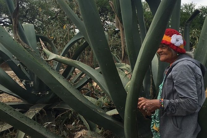 Private Tour of the Mezcal Route With Ancestral Drinks - Cultural and Educational Experience