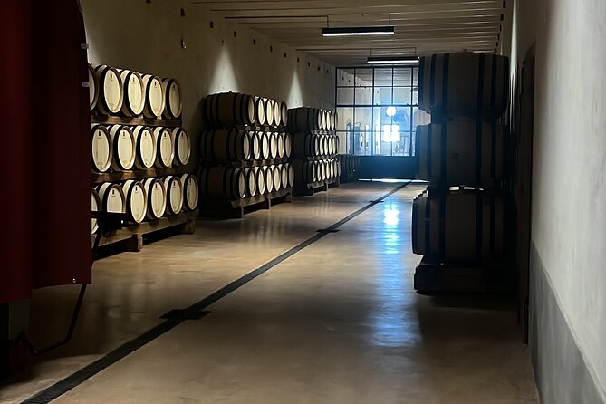 Private Tour Pisa, Countryside With Wine Tasting - About the Experience