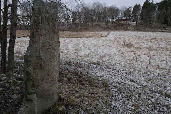 Private Tour: Swedish Iron Age Excursion From Stockholm 3h - Additional Details