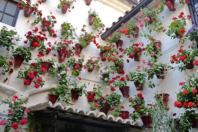 Private Tour: the Courtyards of Cordoba - Meeting Point and Pickup Details
