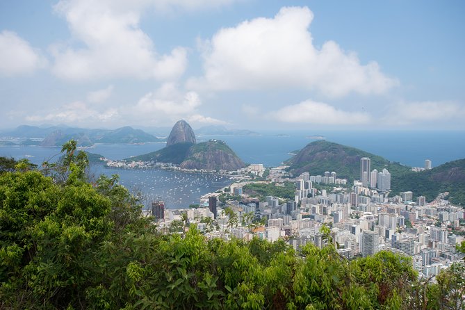Private Tour: Tijuca National Park With a Photographer - Capturing the Beauty of Nature