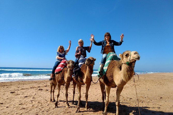 Private Tour to Assilah - Participation Details