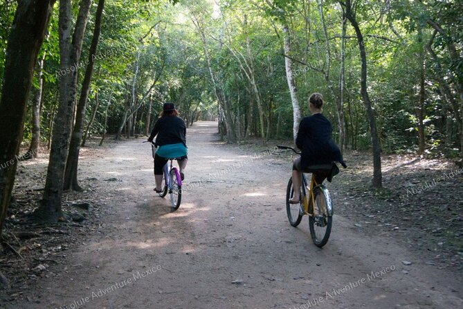 Private Tour to Coba Ruins and Swim in Cenote - Customer Reviews
