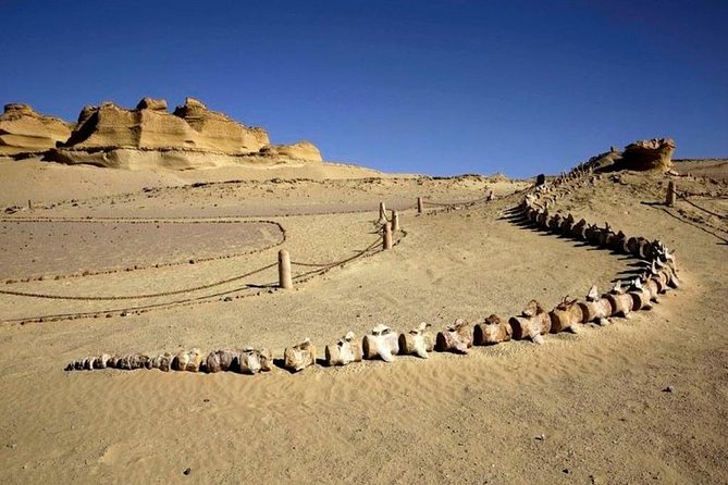Private Tour to Fayoum Oasis, Valley of the Whales & Wadi Al Rian From Cairo. - Private Transportation and Guides