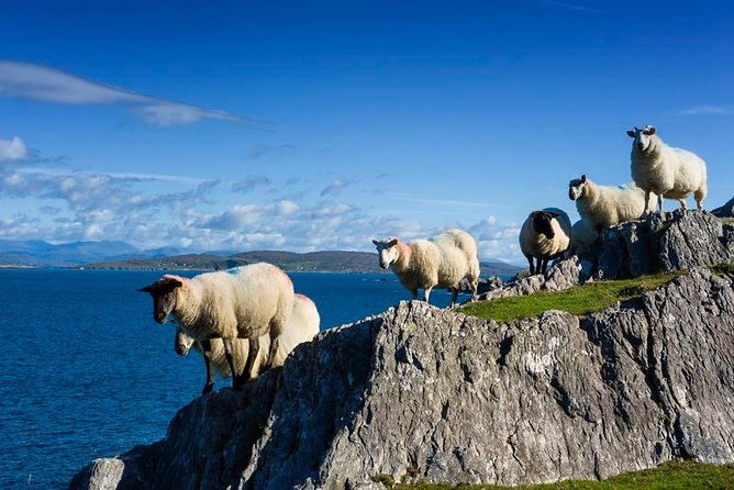 Private Tour to Gougane Barra and Glengarriff - Booking and Cancellation