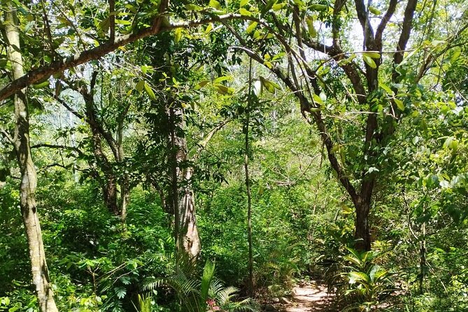 Private Tour to Jarabacoa Waterfalls From Santo Domingo - Physical Fitness Requirements