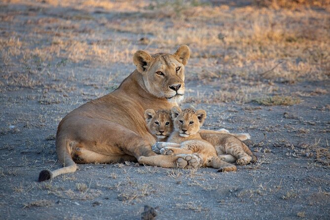 PRIVATE Tour to NAIROBI NATIONALPARK 45hrs Gamedrive 4*4 - Pricing and Group Size