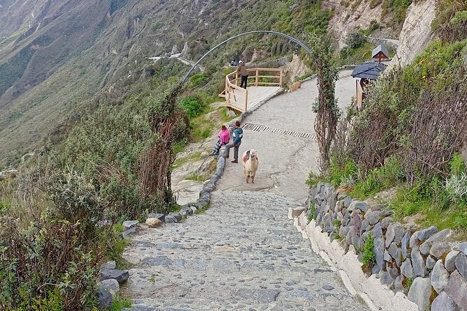 Private Tour to Quilotoa With Kayaking and Hiking - Traveler Reviews and Ratings