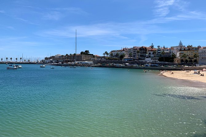 Private Tour to Sintra, Cabo Da Roca and Cascais Half Day - Guide Performance and Traveler Reviews