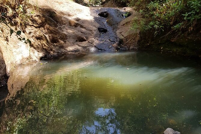 Private Tour to Suba Forest and Highest Peak With Lunch - Pickup and Departure