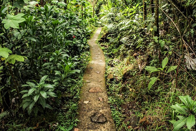 Private Tour to Waterfall in Puerto Rico - Waterfall Destination