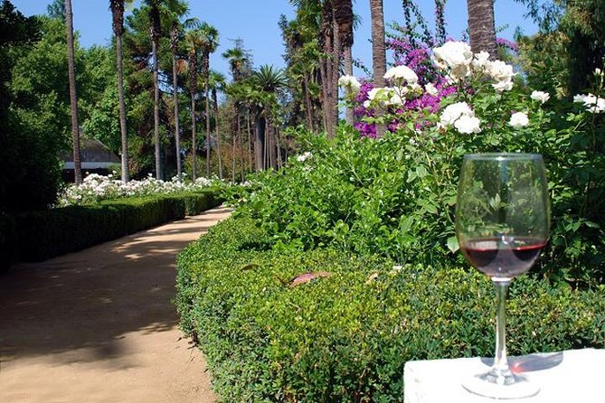 Private Tour: Undurraga Vineyard Experience With Premium Wine Tasting - Private Transportation and Inclusions