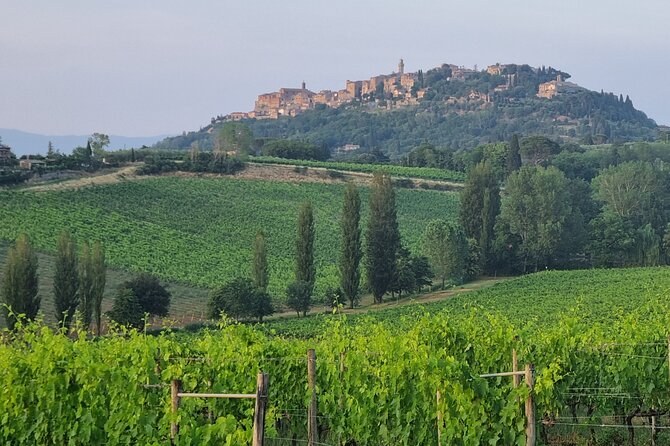 Private Tour Wine and Cheese a Perfect Combinations Val Orcia - Tracing the Regions Winemaking History
