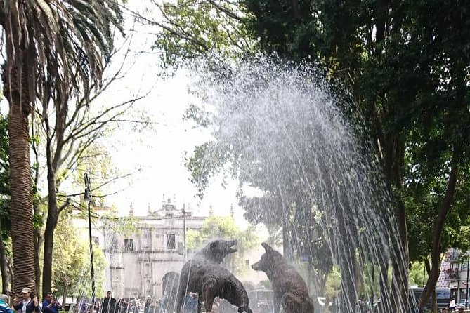 Private Tour: Xochimilco, Coyoacan and Frida Kahlo Museum in Mexico City - Recommendations and Tips