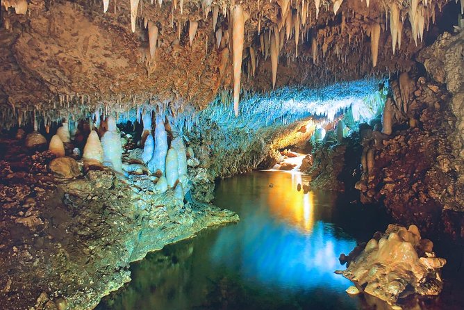 Private Tours - Schedule and Availability