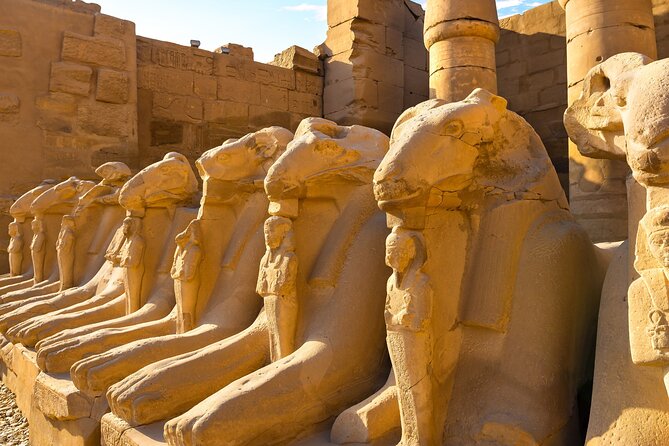 Private Transfer From Luxor to Hurghada or Vice Versa - Accessibility and Flexibility