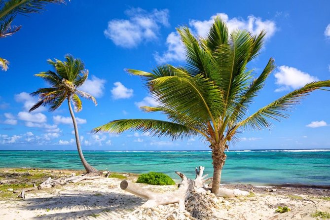 Private Transfer From Punta Cana Airport (Puj) to Santiago De Los Caballeros - Booking and Cancellation Policy