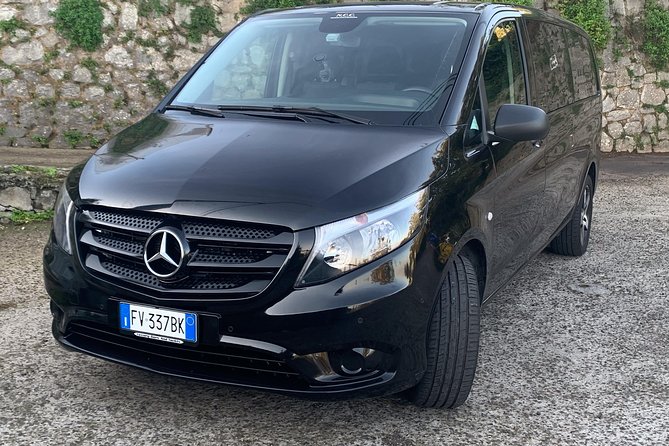 Private Transfer Naples to Sorrento Stop to Pompeii and Pizza - Customer Experience