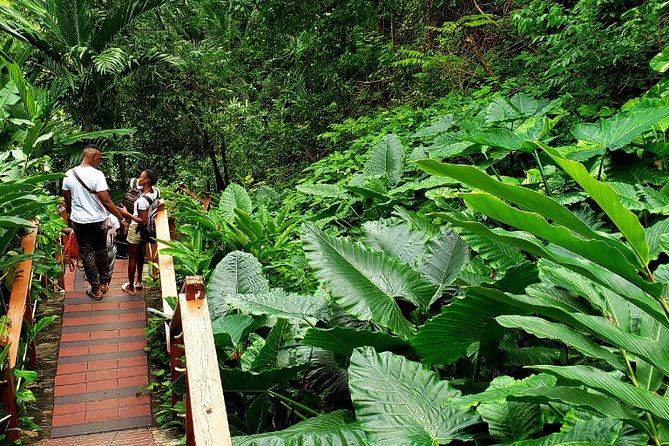 Private Transfer to Konoko Falls Botanical Gardens - Additional Information