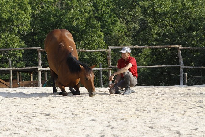 Private Tuscany Horseback Ride - Refreshments and Amenities