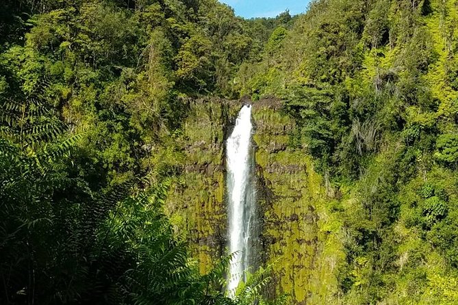 Private VAN Tour Kona - Pickup and Drop-off Convenience