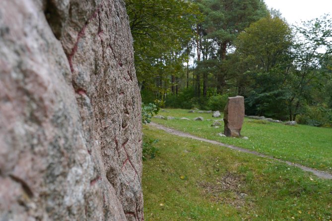 Private Viking Tour by a Lake + Swedish Nature Forest Walk, 90MIN - Content and Duration
