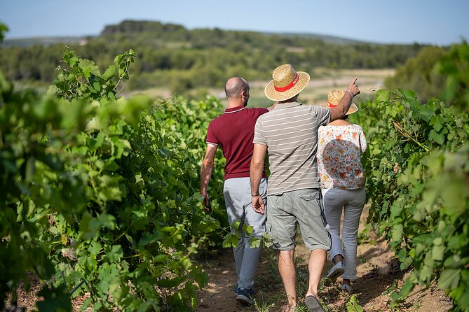 Private Vintage Car Half-Day Wine Tour in 2CV - Winery Tastings