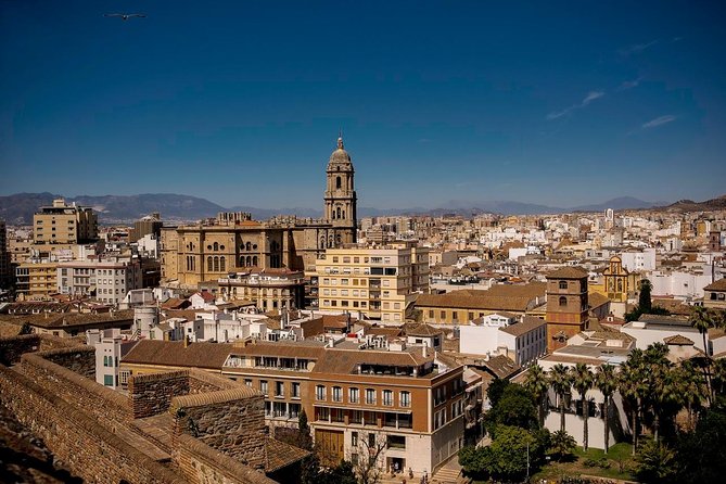 Private Walking Tour in Málaga - Highlights of the Tour