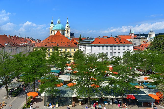 Private Walking Tour of Ljubljana Old Town - Traveler Reviews