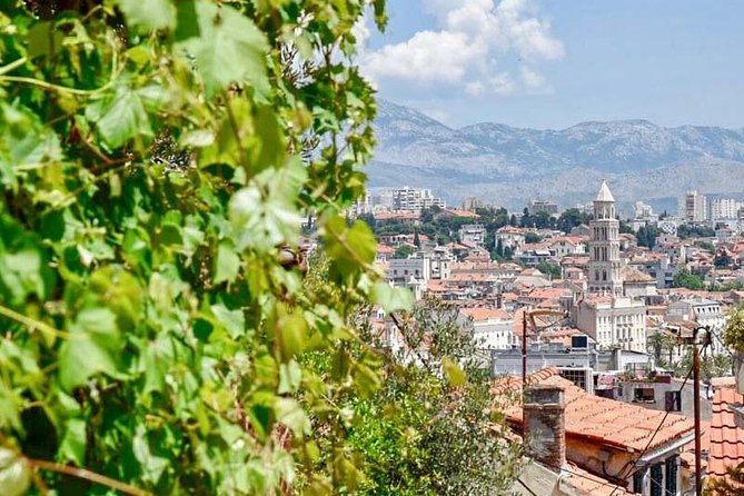 Private Walking Tour of Split With a Local - Personalized Experience