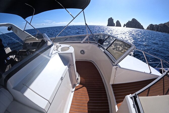 PRIVATE Whale Watching Tour and Snorkeling Tour Cabo San Lucas - Accessibility and Participation