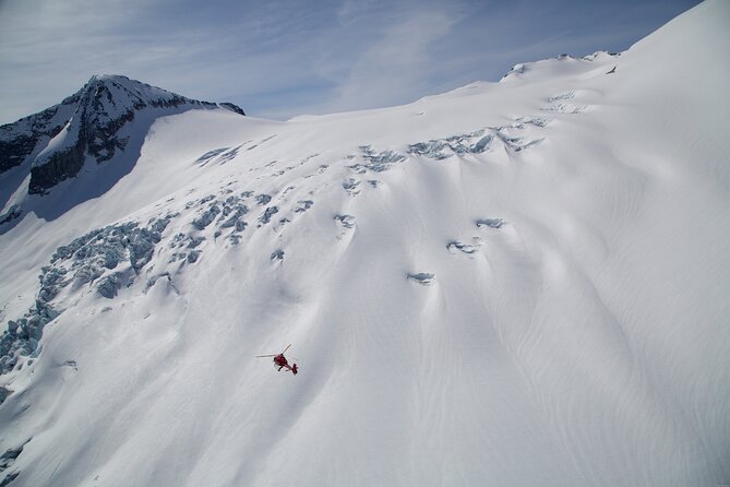 Private Whistler Helicopter Tour + Mountain Landing - Accessibility Features