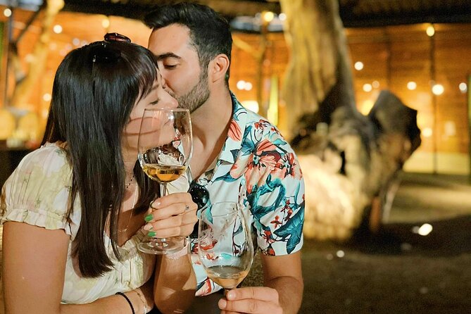 Private Wine Tour at Valle De Guadalupe (A Wine Tasting Included). - Private Transportation and Amenities