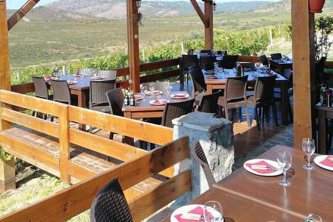 Private Wine Tour of Chateau Sopot Winery From Skopje - Logistics and Booking Information