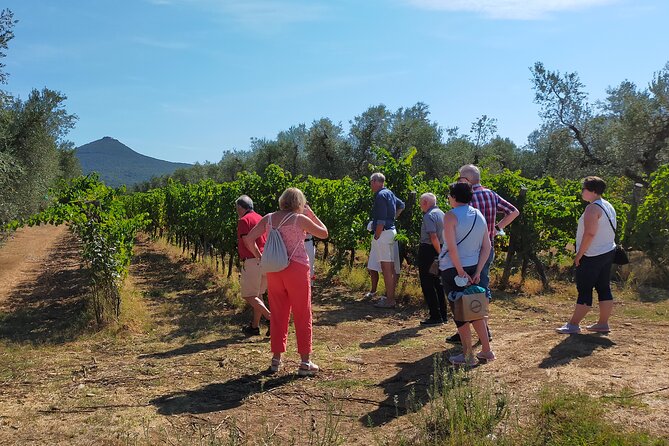 Private Wine Tour With Sommelier - the Magical Bolgheri (2 Wineries) - Pricing Breakdown