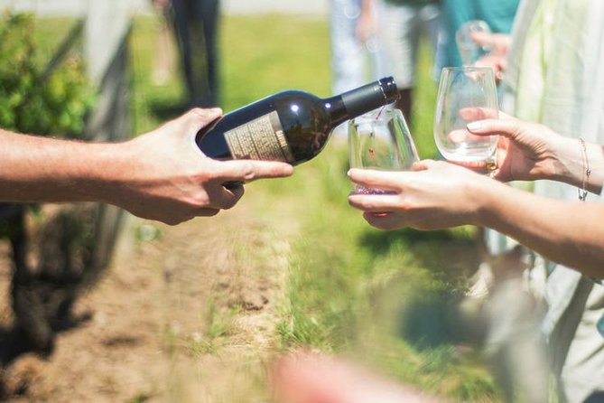 Private Wine Tours- Toronto to Niagara-On-Lake - Accessibility and Participation