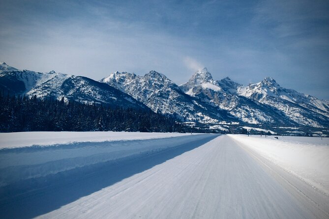 Private Winter Tour of Grand Teton National Park & Sleigh Ride - Accessibility Features